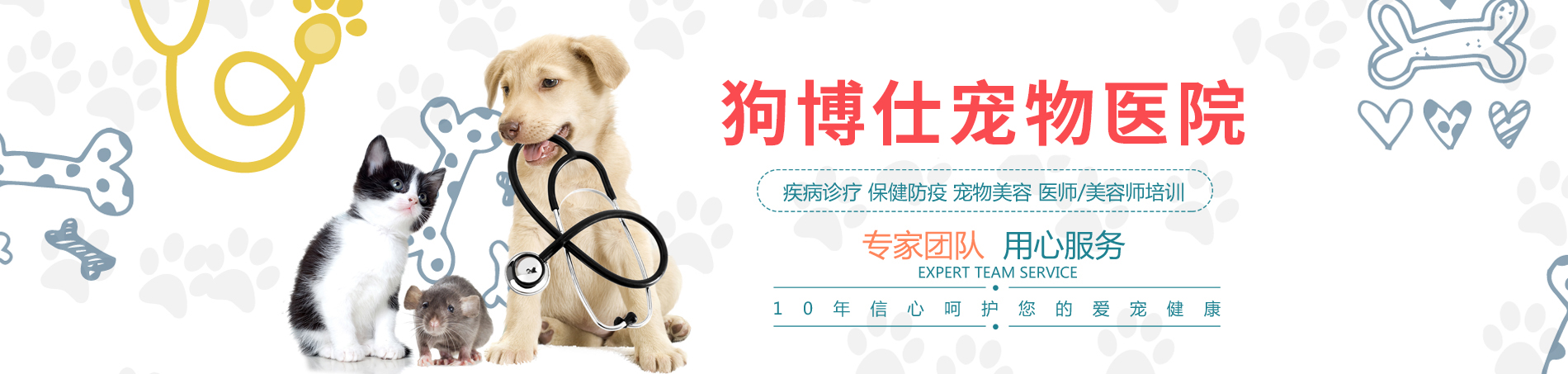 洛陽市洛龍區狗博士寵物醫(yī)院